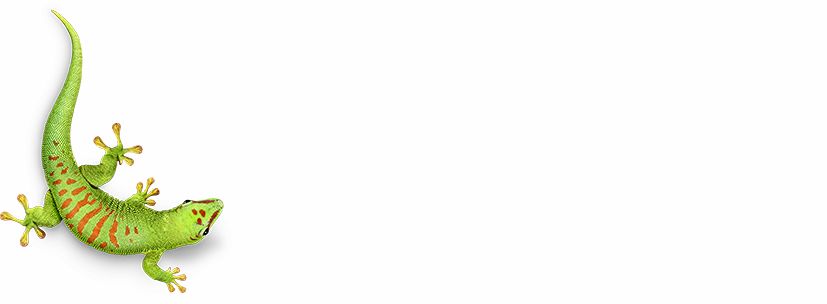 Logo Bostik Born2Bond