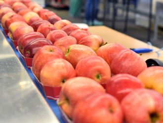 Travaillez en toute sécurité alimentaire